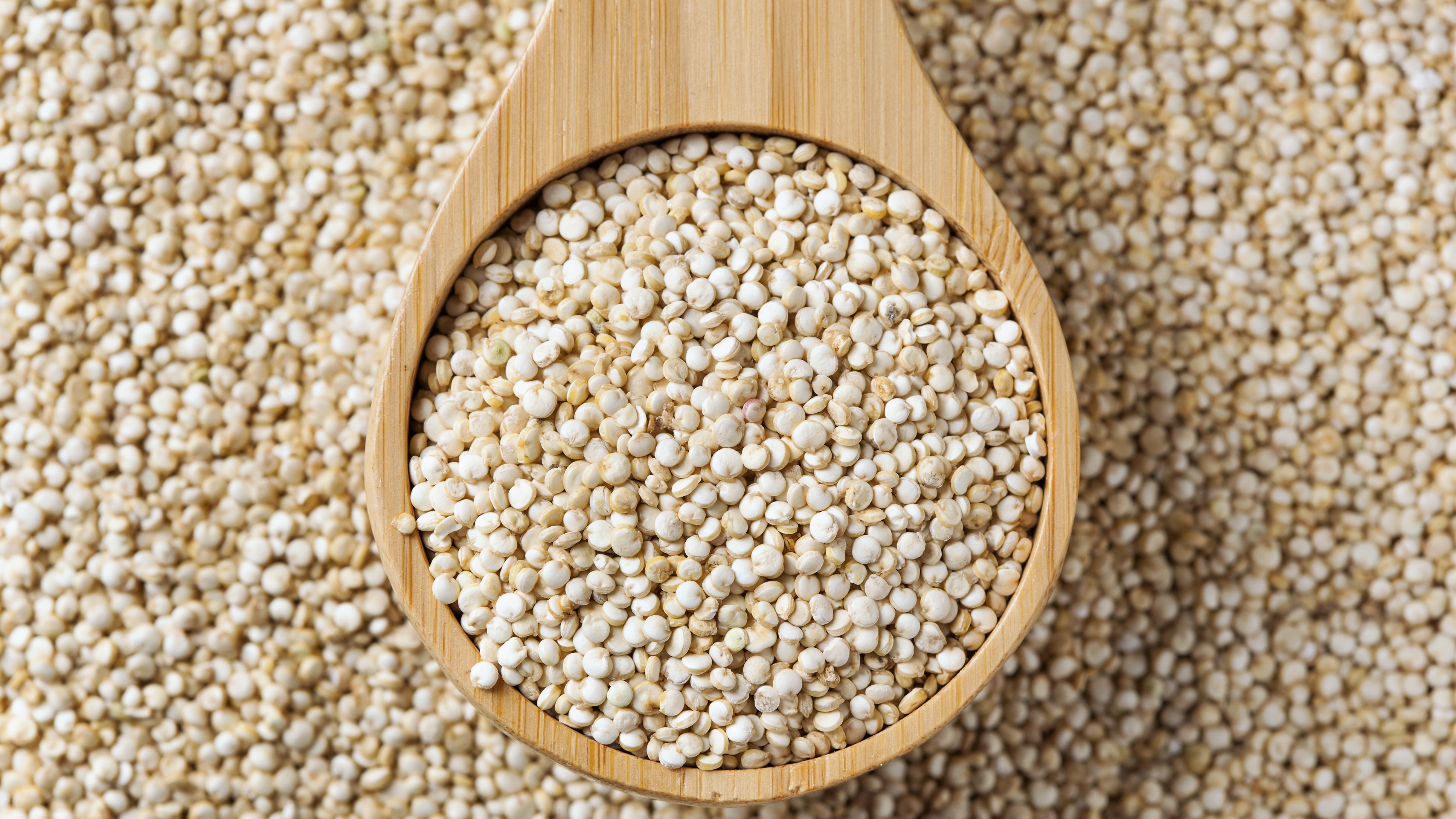 10 golose ricette a base di quinoa