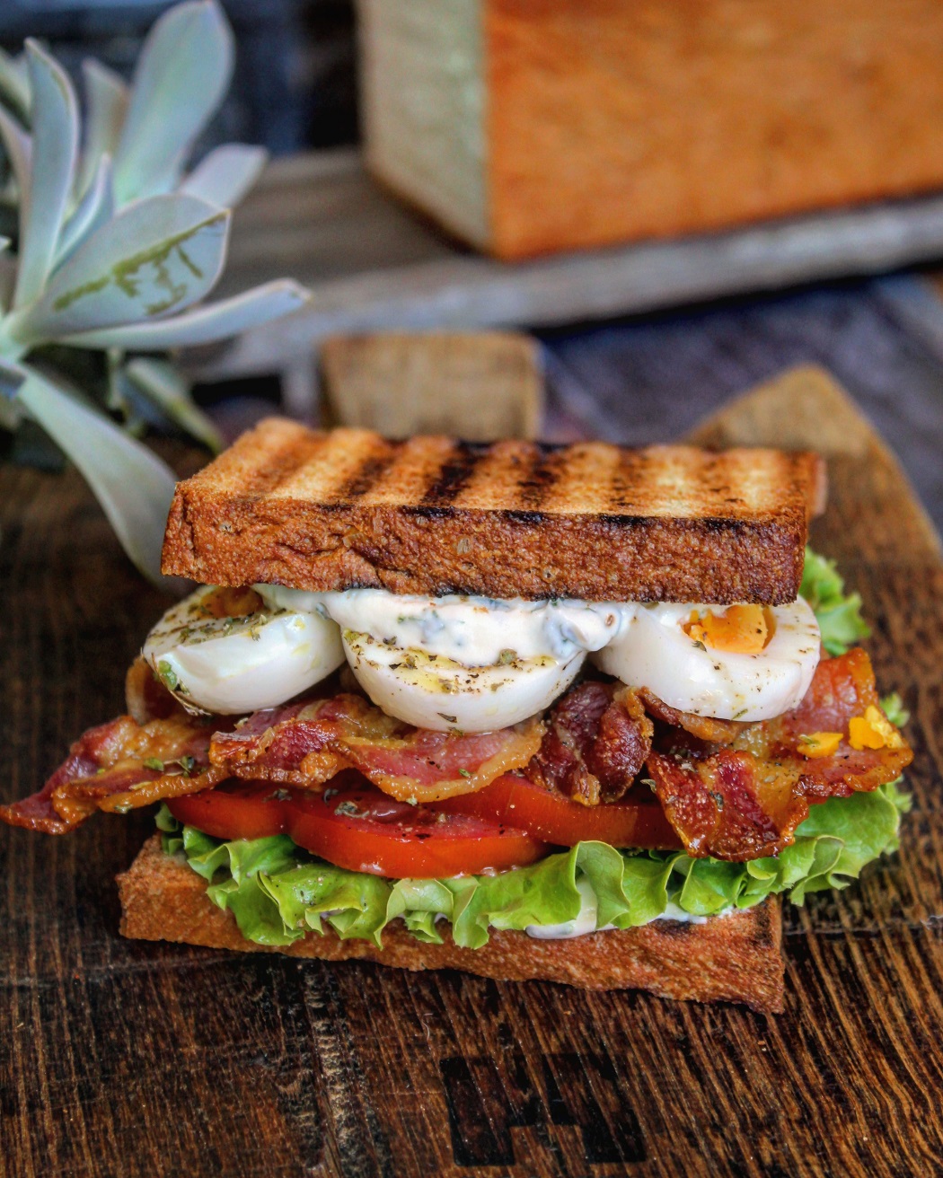 Bacon Club Sandwich
